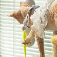 CazaColitas – Juguete Interactivo Automático para Gatos
